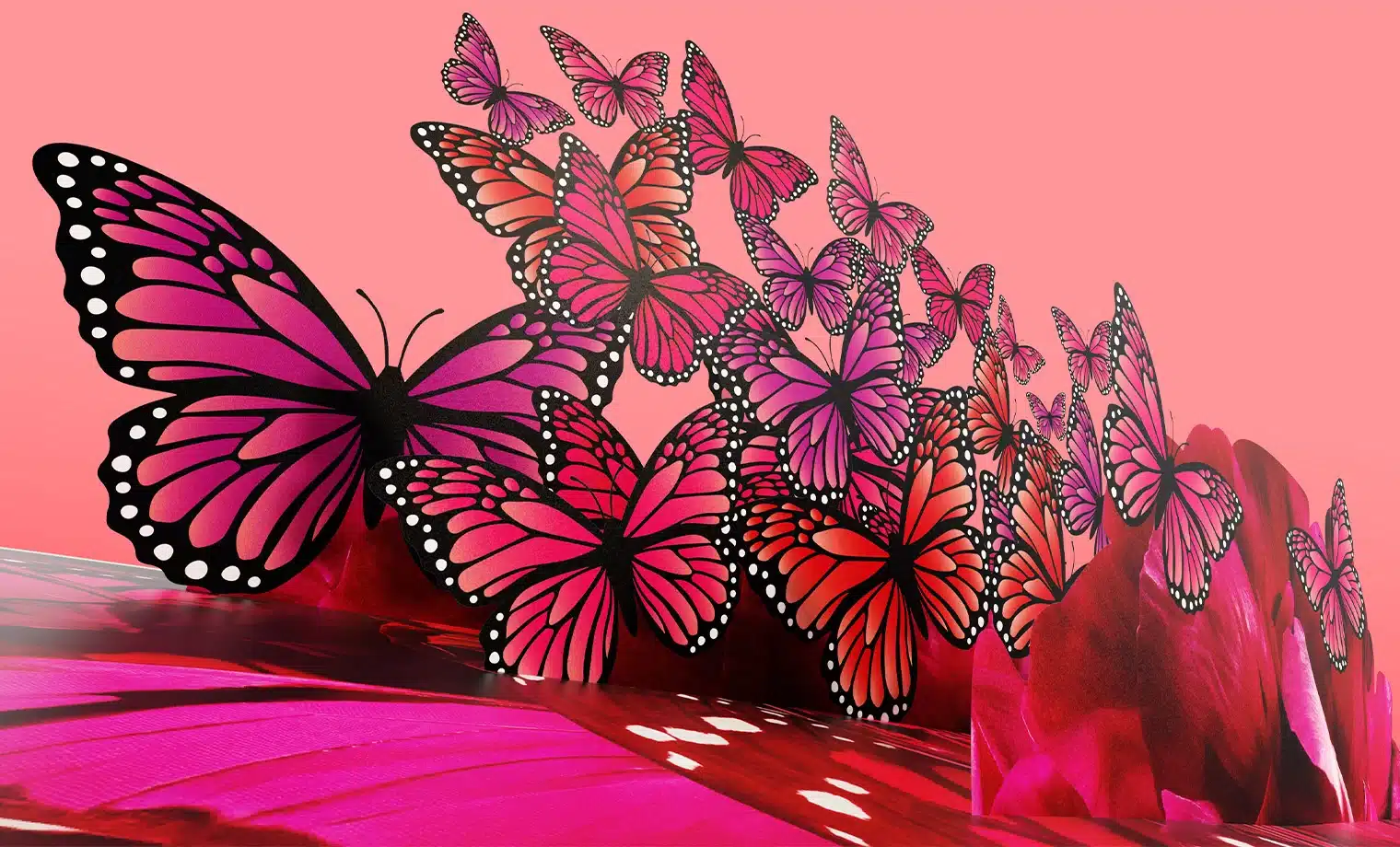 boite zoom nuée de papillon ouverture boite