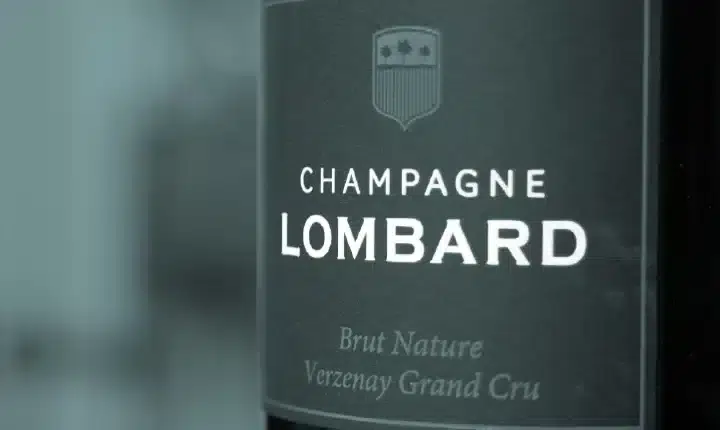 branding & packaging